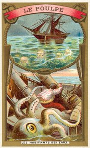 bläckfisk (chromolitho) av French School