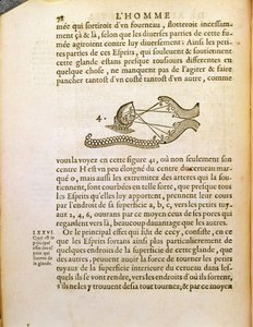 Optiskt diagram, från De Homine Figuris av Rene Descartes (1596-1650) publicerat i Haag, 1662 av French School