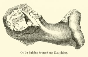 Valben hittat rue Dauphine av French School