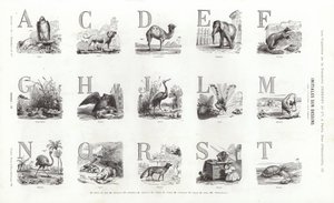 Sida från typografiska vinjetter (gravyr) av French School