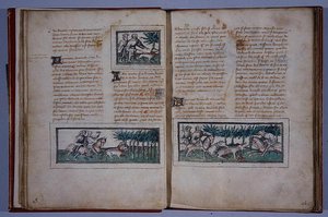 Sidorna 57 och 58, från Le Livre du Roy Modus et de la Royne Racio, av Henri de Ferrieres, ca 1420 (penna & bläck och wc på papper) av French School