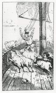 Panurges får, illustration från 
