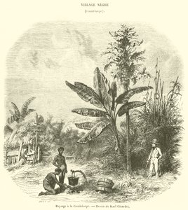 Landskap i Guadeloupe (gravyr) av French School