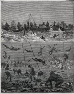 Pärlpersika i Ceylon (dagens Sri Lanka) på 1800-talet. Gravyr från 1885 i "" Les arts et metiers illustres"" av Adolphe BITARD. av French School