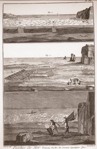 Peche de Mer - Trameau - Vattenfågelfiske - "" The Great Encyclopedia, eller Dictionnaire Raisonne des Sciences, des Arts et des Metiers" (Encyclopedia or Dictionary of the Sciences, Arts and Professions) av Denis Diderot (1713-1784) och Jean d 