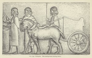 Persepolis, män som leder hästar som drar vagn av French School