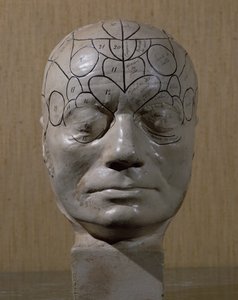 Frenologiskt huvud av Jean Martin Charcot (keramik) av French School