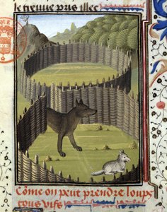 Piege en varg - i "" Hunting Book of Gaston Phoebus, Count of Foix, Lord of Béarn"" av French School