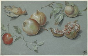 Granatäpplen och död fågel, tidigt 1800-tal (krita på papper) av French School