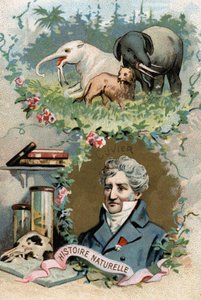 Porträtt av baron Georges Cuvier, fransk zoolog och paleontolog (1769-1832), grundare av jämförande anatomi. Kromolitografi av 1800-talet. av French School