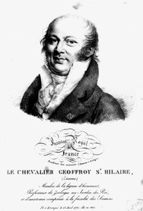 Porträtt av Etienne Geoffroy Saint-Hilaire (1722-1844) av French School