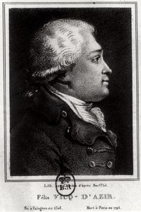 Porträtt av Felix Vicq dAzyr (1748-94) av French School