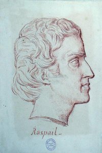 Porträtt av Francois Vincent Raspail (1794-1878) (röd krita på papper) av French School