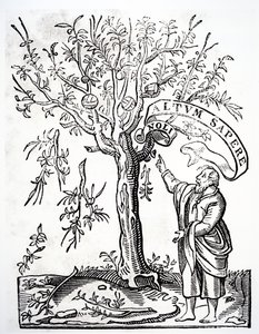 Skrivares emblem av Robert Estienne, Paris, 1526 av French School