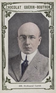 Professor Carrel (färgad bild) av French School
