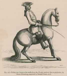 Dra upp en häst på Snaffle (från Manege moderne dans sa perfection, av Baron dEisenberg, graverad av Bernard Picart, 1727) av French School