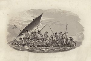 Flotte, Gambieröarna av French School