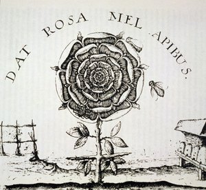 Rosicrucian Allegory, kopia av en gravyr av Johann Theodore de Bry (ca 1598), använd i en magihistoria, publicerad i slutet av 1800-talet av French School