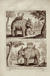 Kungliga elefanter, från Voyage du Siam des Peres Jesuites av Guy Tachard, 1688 av French School