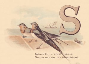 S: Vintersäsongen har kommit, Rädda dig själv långt borta svalor! av French School