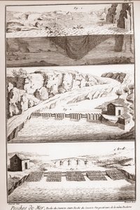 Laxfisketekniker - Encyclopedia or Dictionary of the Sciences, Arts and Professions av Denis Diderot (1713-1784) och Jean d