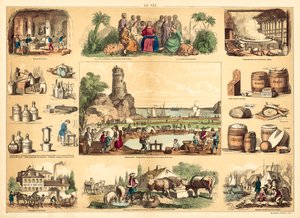 Salt (färgad gravyr) av French School