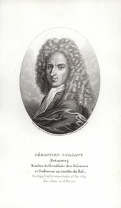 Sebastien Vaillant av French School
