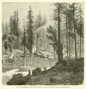 Mekaniskt sågverk i en granskog (gravyr) av French School