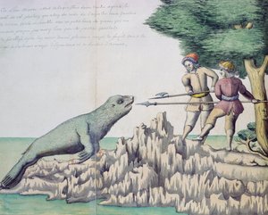Sjölejon nära Magellansundet (wc på papper) av French School