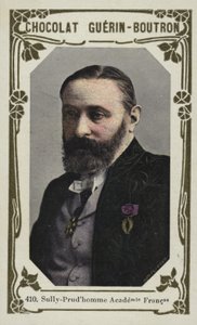 Sully-Prudhomme, Franska Akademien (färgad bild) av French School