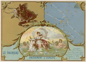 Oxen av French School