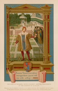 Kungen av Navarra, Henri D