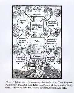 The Tree of Beings and Substance, tryckt 1514, illustration från Science and Literature in The Middle Ages and Renaissance, skriven och graverad av Paul Lacroix, 1878 av French School