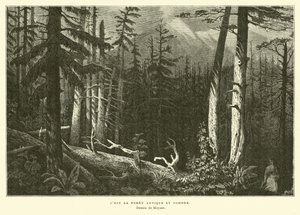 Den gamla mörka skogen av French School