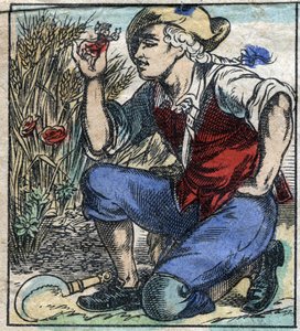 Den jättelika plöjaren i Brobdingnag tog Lemuel Gulliver. Illustration för "" Gulliver