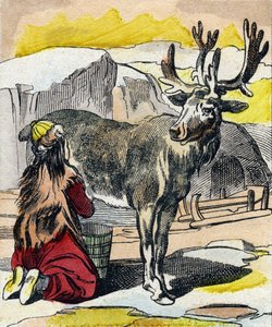Renen som mjölkas. Gravyr i "Buffon Alphabet des Animaux". 3:e serien N 1. Avbildning av Epinal, Epinal, sent 1800-tal. 16 sidor. Mått: 28x21cm av French School