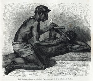 Storleken på tänderna i Okanda, ritning av D. Maillard, för att illustrera historien om en resa till Gabon och floden Ogoue 1875-1877, av Alfred Marche. Gravyr i Le tour du monde av French School