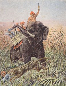 Tigerjakt, Indien (färglitografi) av French School
