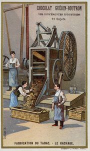 Tobakstillverkning. Strimla löv (chromolitho) av French School
