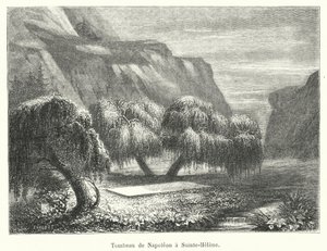 Napoleons grav i Sainte-Helene (gravyr) av French School