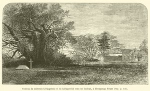 Gravar av Mrs Livingstone och Kirkpatrick under ett baobabträd, vid Shoupanga House (gravyr) av French School