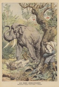 Tragiskt slut på en elefantjakt i Nederländska Ostindien (färg litho) av French School