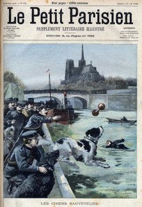 Träning av räddningshundar av polisen i Seine i Paris. Gravyr i "Le petit Parisien"” av French School