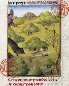 Fälla för hare och jakthundar - i "" Jaktbok av Gaston Phoebus, greve av Foix, Lord of Bearn"" av French School