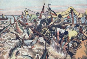 Tonfiskfiske i Tunisien:1925 av French School