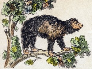 Unau (lat). Gravyr i "" Alphabet des animaux sauvages"". 9:e serien. Bildspråk av Epinal, Pellerin, tryckare-förlag, ca 1870. Gravyrer på trä, stencilerade. 16 sidor. Mått: 20 x 15 cm. Privat samling av French School