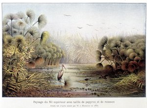 Passage av övre Nilen med papyrus och vass. av French School