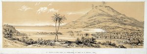 Utsikt över Pointe a Pitre (Pointe-a-Pitre) före jordbävningen. Gravyr från 1843. Chartres, Museum of Fine Arts av French School