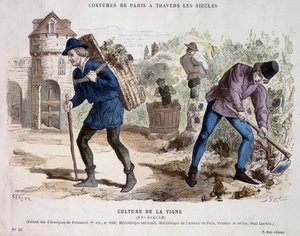 Vinodling på 1400-talet - i "" Costume de Paris genom århundradena"" av French School