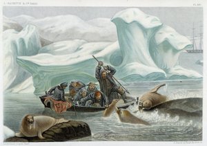 Valrossjakt - i "" Le monde de la mer "" av Alfred Fredol, Hachette, Paris av French School